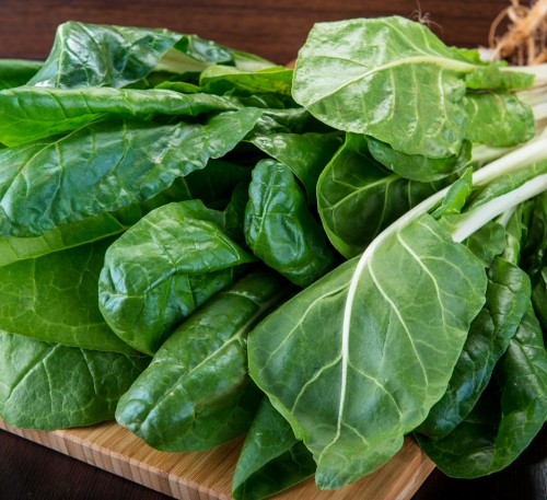 Chard Mangold Winter 